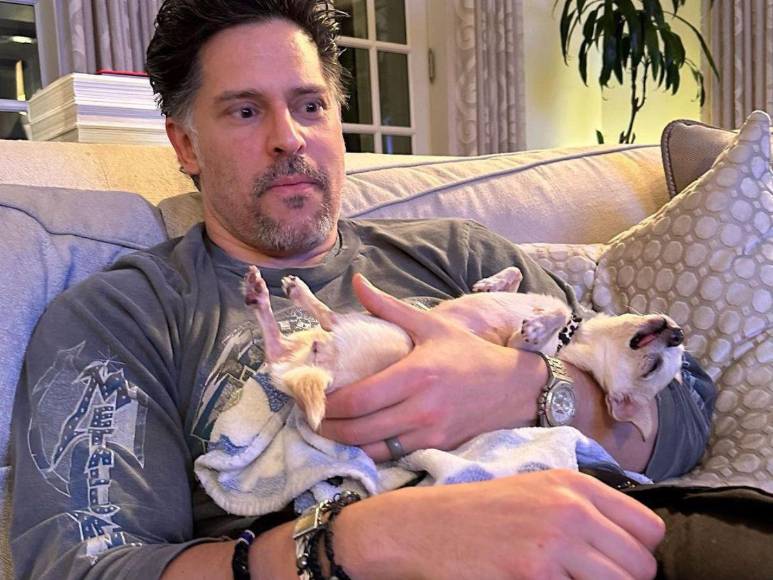 Bubbles, la perrita de Sofía Vergara y Joe Manganiello que complica su divorcio
