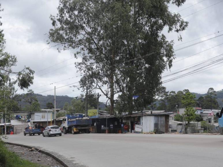 Policías buscan a jóvenes que desaparecieron en mudanza en la Residencial Honduras