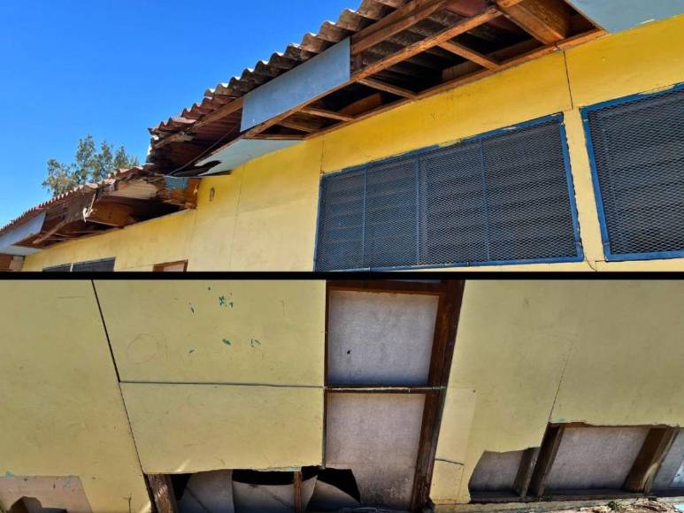 ‘Influencers’ que se unieron en apoyo a Shin Fujiyama para correr 250 kilómetros