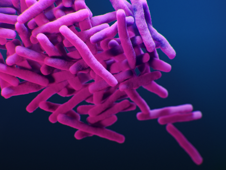 ¿Por qué las superbacterias son la nueva gran amenaza?