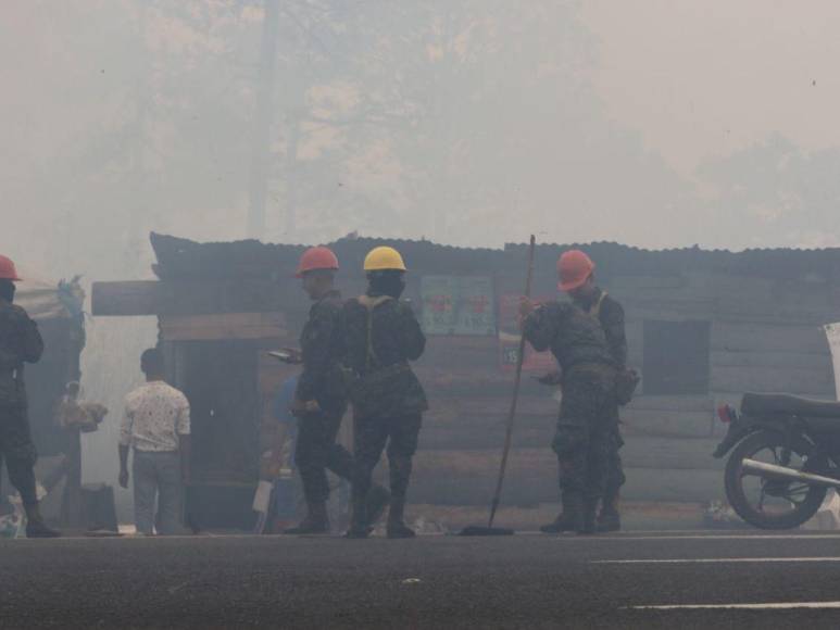 Incendio forestal destruye hectáreas de bosque y provoca una intensa capa de humo en Zambrano