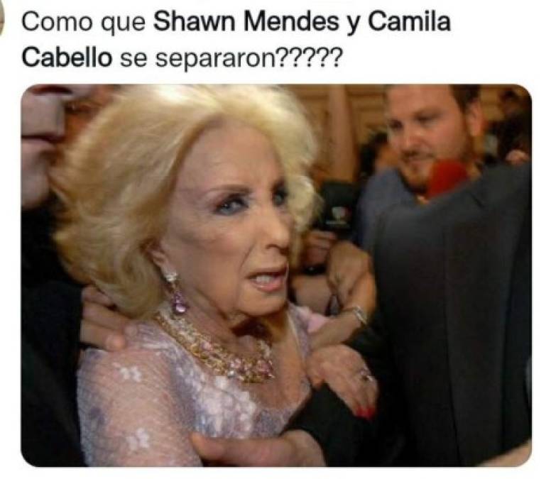 ¿Con quién se queda el perro? Los memes que dejó la separación de Camila Cabello y Shawn Mendes