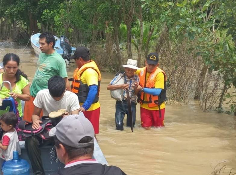 Sacados en brazos, con pocas pertenencias y sus animalitos: el drama que viven familias evacuadas (Fotos)