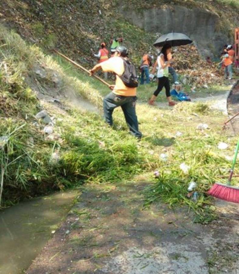 Destruyen criaderos de zancudos en 20 colonias de la capital