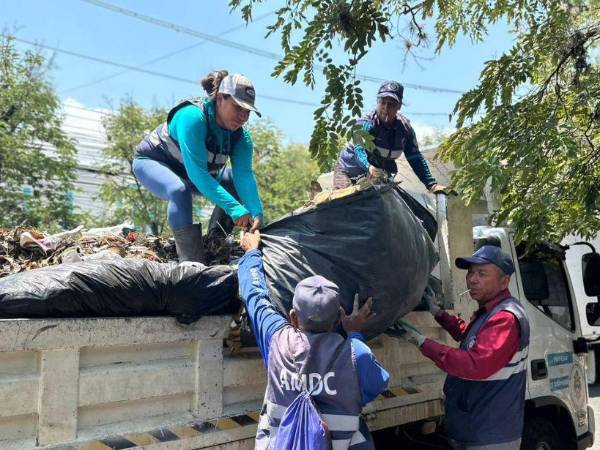 La AMDC informó que, a petición de los capitalinos, esposible colocar cámaras en sectores críticos para multar a quienes lancen basura en calles y quebradas de la ciudad.