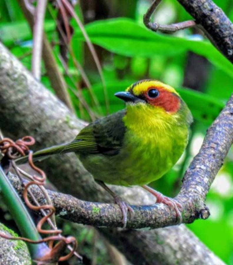 Un descubrimiento en Los Confines