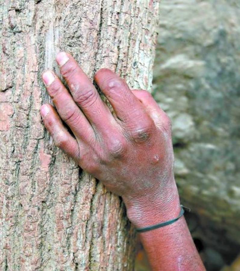 Mineros laboran bajo riesgo inminente