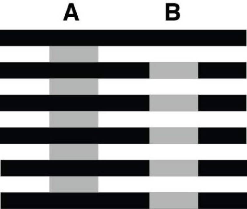 Las ilusiones ópticas que hicieron 'alucinar' a todos en Internet