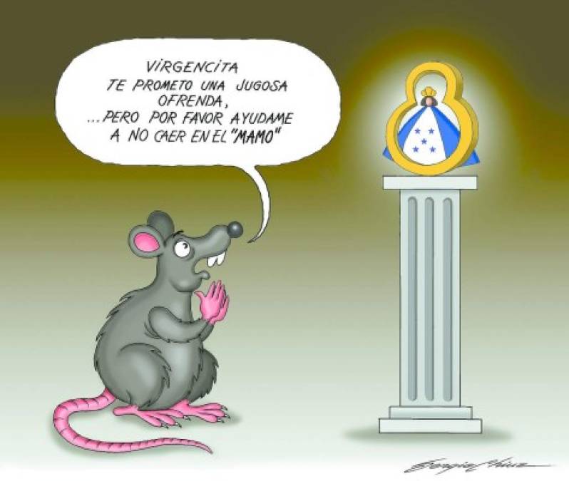 Fe de ratas