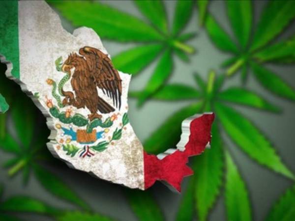 Algunos legisladores argumentaron que el proyecto de ley no va lo suficientemente lejos porque no cubre el cultivo individual de la marihuana, otros narcóticos tales como la pasta de opio y la amapola, o asuntos más amplios como la guerra contra las drogas.