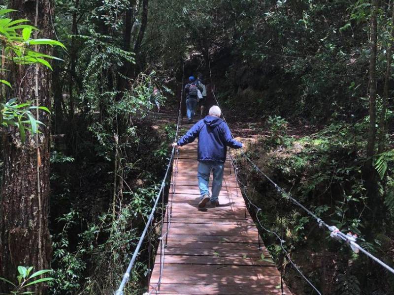 Los senderos tienen diferentes grados de dificultad, pero en algunos encontrará puentes colgantes en medio de la naturaleza.