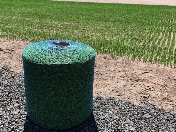 Este viernes dio inicio la instalación del nuevo césped del Estadio Nacional de Tegucigalpa. Haciendo uso de una tecnología híbrida, los trabajos de mejora en el principal escenario deportivo del país están en su recta final.