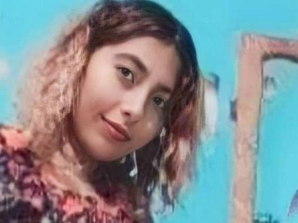 La joven embarazada desapareció tras salir a reunirse con una pareja que le había prometido regalarle ropa para su bebé.