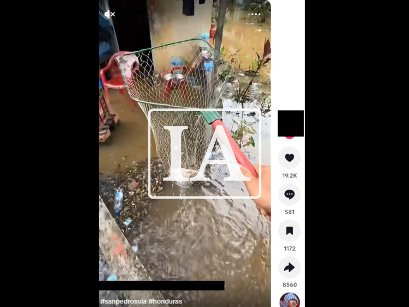 Captura de pantalla a una publicación de Tik Tok hecha el 5 de octubre de 2026
