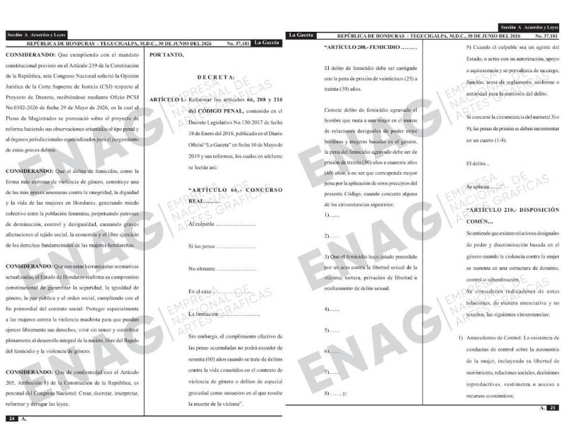Entran en vigencia reformas que elevan de 30 a 40 años las penas contra el femicidio