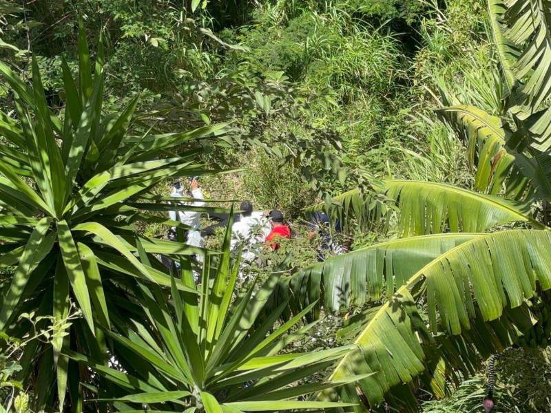 El cuerpo estaba en medio de una zona boscosa alejada de las viviendas.