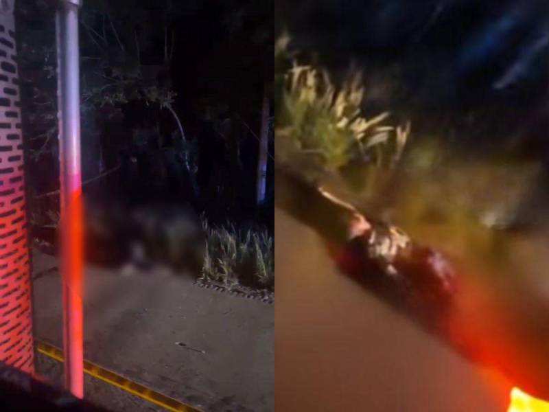 En horas de la madrugada de este sábado 14 de junio, cuatro personas fueron asesinadas en Sabá, Colón. Aunque las autoridades aún no han brindado detalles oficiales, se manejan varias hipótesis sobre lo ocurrido.