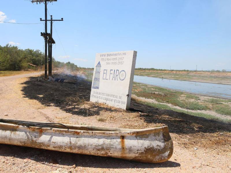 Emblemáticas empresas productoras de camarón desaparecieron tras romper relaciones con Taiwán.