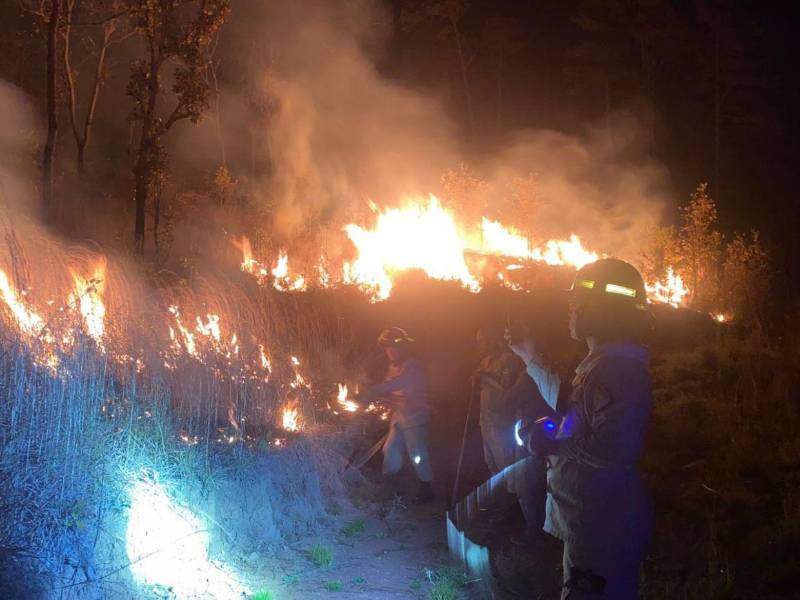 La capital contabiliza 122 incendios forestales durante el 2026, con una significativa reducción en las hectáreas dañadas este año.