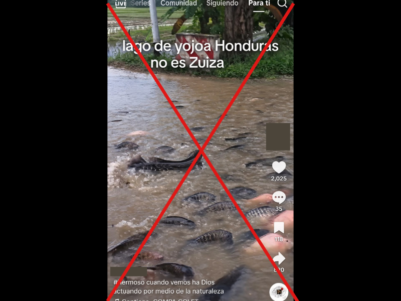 Captura de pantalla a una publicación de Tik Tok hecha el 6 de octubre de 2026