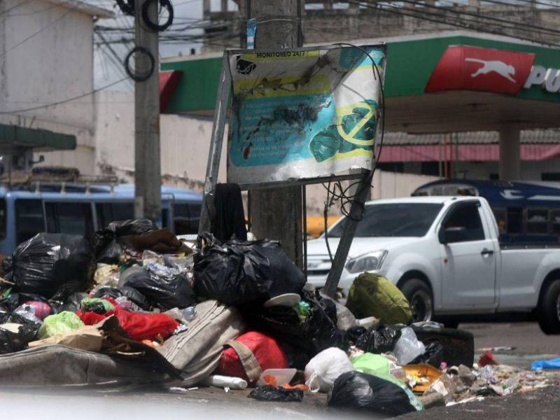 Aguas estancadas y desechos sólidos tras la fuerte temporada de lluvias favorecen la propagación del zancudo Aedes aegyptis, causante del dengue.