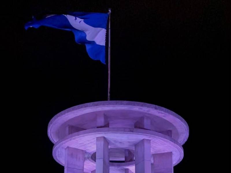 El diputado José Jaar propone reformar la normativa de la Bandera Nacional para establecer el azul turquí en las franjas superior e inferior del pabellón.