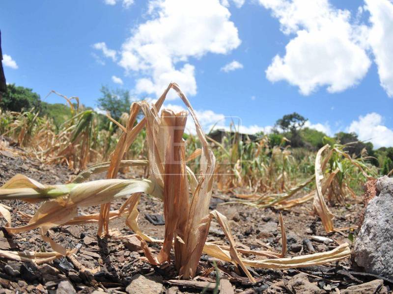 La ayuda por parte de la ONU para enfrentar a la emergencia climática ya asciende a los 86 millones de dólares.