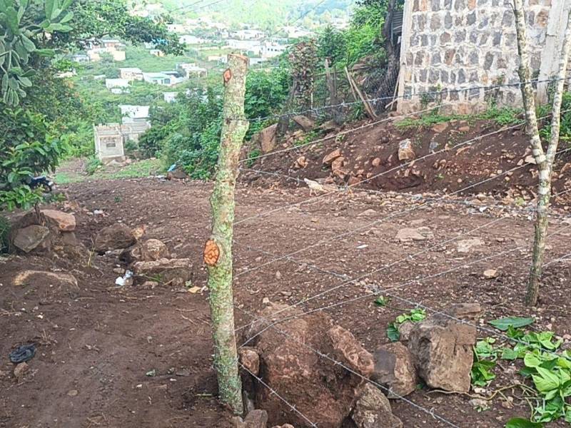 Sin una vía vehicular disponible, vecinos de Monte de los Olivos temen nuevas dificultades para movilizarse y recibir servicios básicos, por lo que solicitan la intervención de las autoridades municipales.