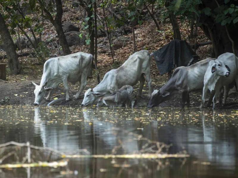 La reunión también permitió examinar avances de planes nacionales y bilaterales y explorar oportunidades para ampliar estrategias que han demostrado efectividad, según la información oficial.