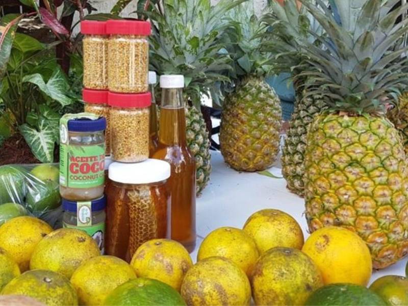 Las autoridades gubernamentales buscan ampliar el acceso de los productores nacionales a los mercados formales para una mayor y mejor comercialización.