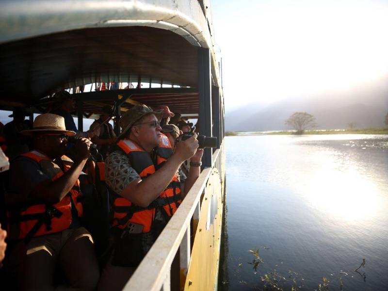 Aves Honduras administra una red de 18 santuarios privados distribuidos en distintas regiones del país, habilitados con senderos, torres de observación, hides fotográficos y guías especializados.