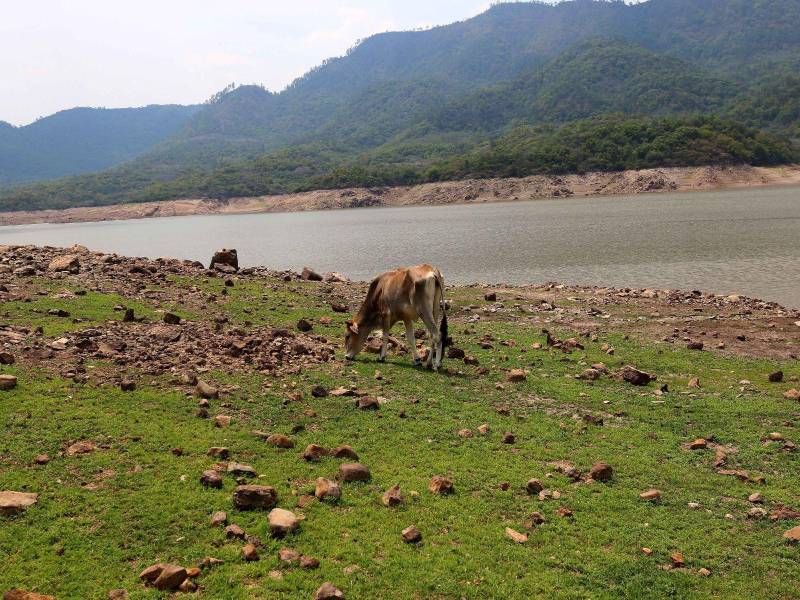 Actualmente la represa La Concepción se encuentra en un 45%. Las autoridades recomendaron usar con responsabilidad el vital líquido.