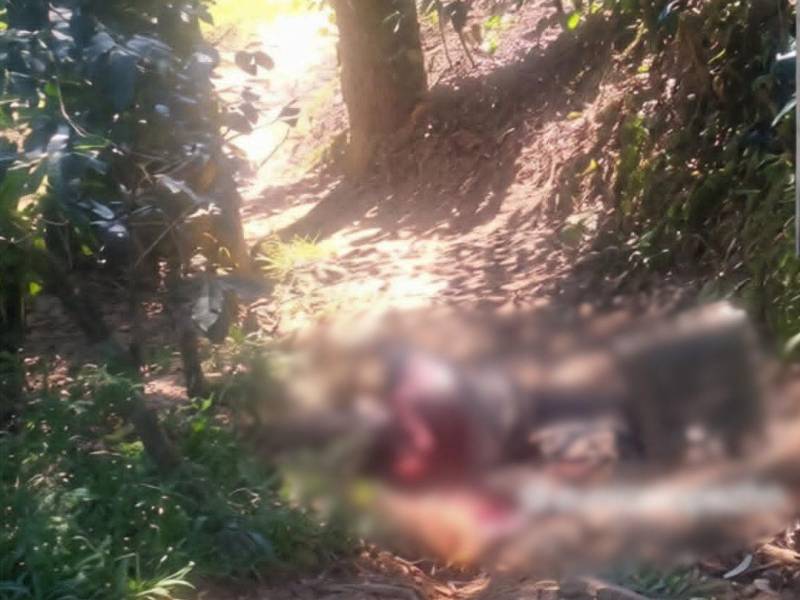 Según se informó, le habrían quitado la vida con varios machetazos.