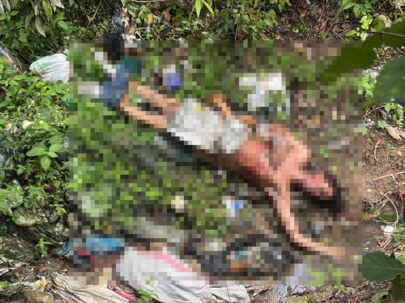 El cuerpo del hombre presentaba varios golpes.