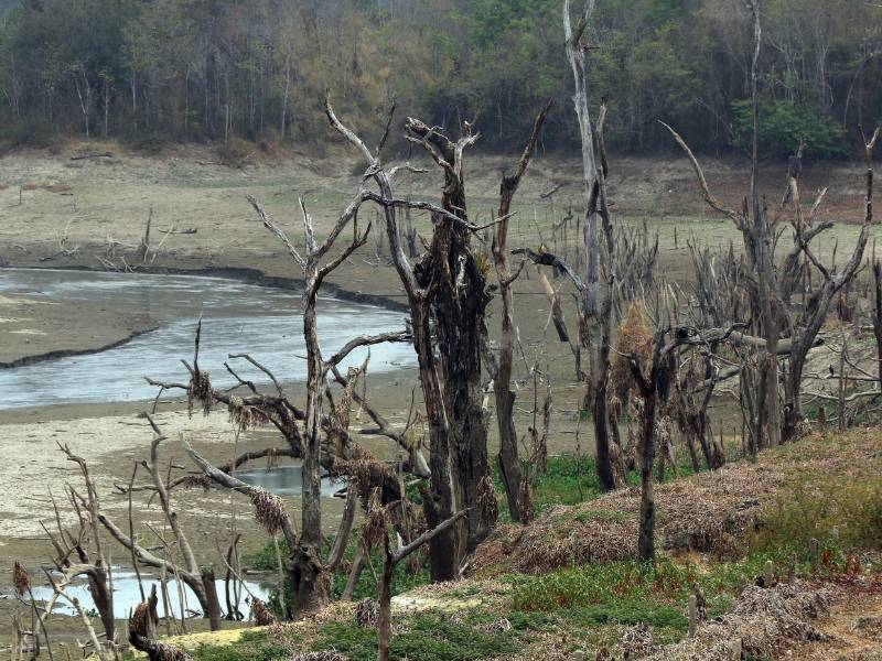 Los ríos Guayape y Guayambre se están quedando secos no solo a causa de factores climáticos, sino también por la tala y quema del bosque.