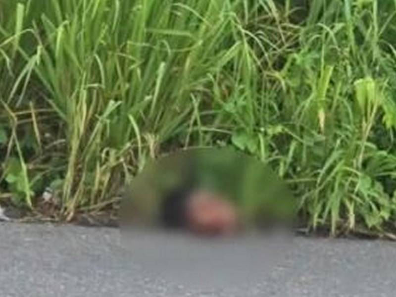 La cabeza del jovencito fue abandonada en plena vía pública en la carretera.
