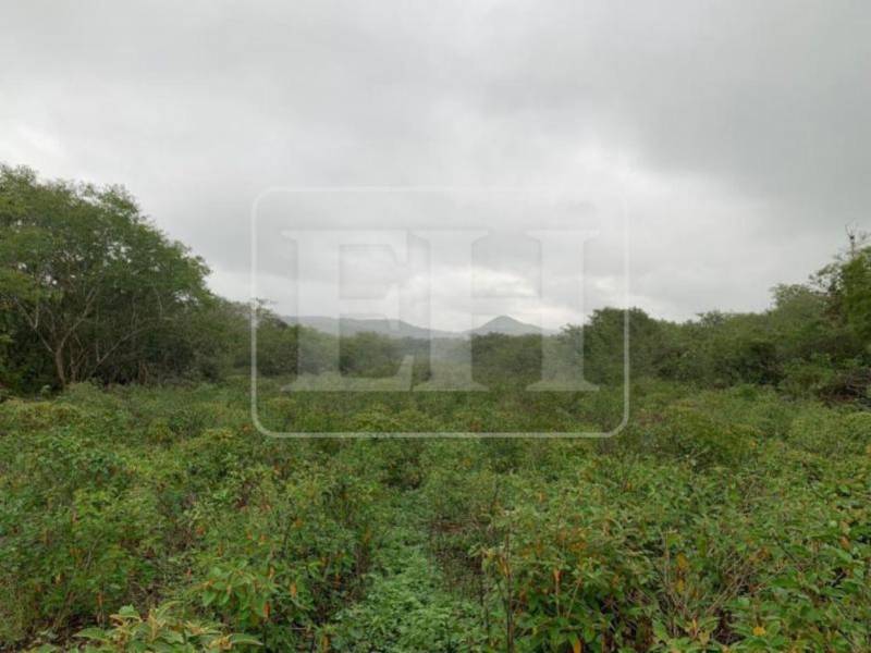 Las Áreas Clandestinas de Aterrizaje están activas en varias regiones de Honduras.