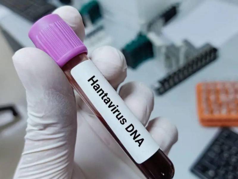 Ante el avance de casos de hantavirus en América, expertos advierten que Honduras debe intensificar la vigilancia epidemiológica para prevenir su ingreso.