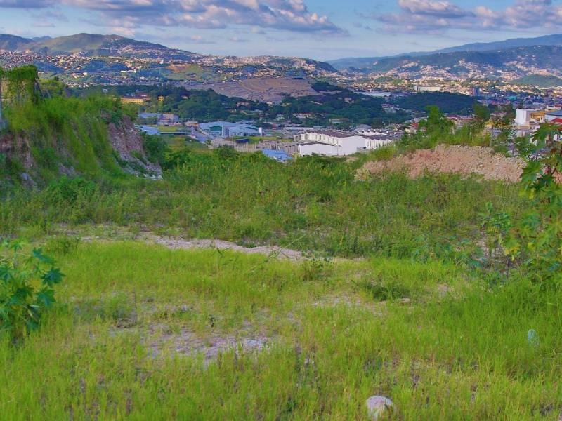 La saturación de la actual Villa Olímpica obliga a evaluar nuevos espacios deportivos, entre ellos un terreno de 10 manzanas en Las Uvas, al sur de la capital.