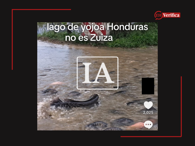 Captura de pantalla a una publicación de Tik Tok hecha el 6 de octubre de 2026, adaptada a esta cartela.