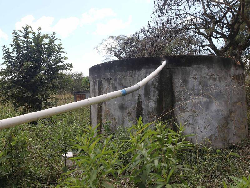 Los mismos productores son los que buscan opciones para recolectar agua y continuar con la siembra de productos agrícolas, pero cada vez es más difícil.