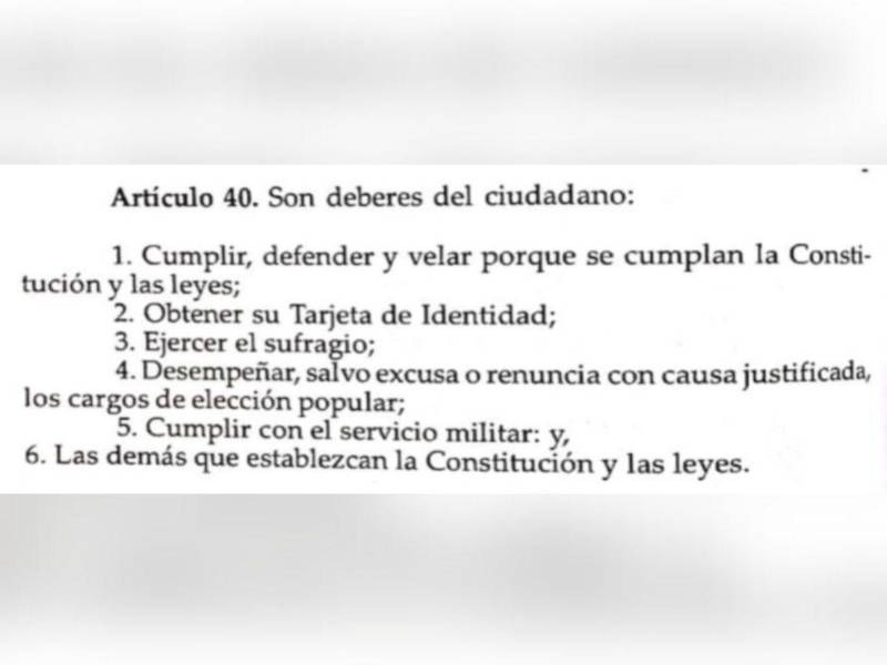 Captura de pantalla al artículo 40 de la Constitución de la República.