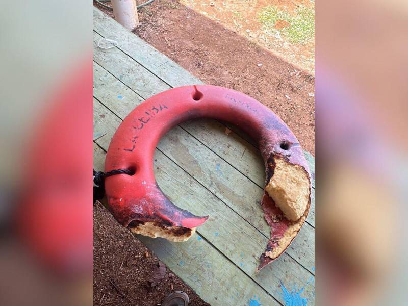 La Fuerza Naval mantiene la búsqueda en zonas remotas.