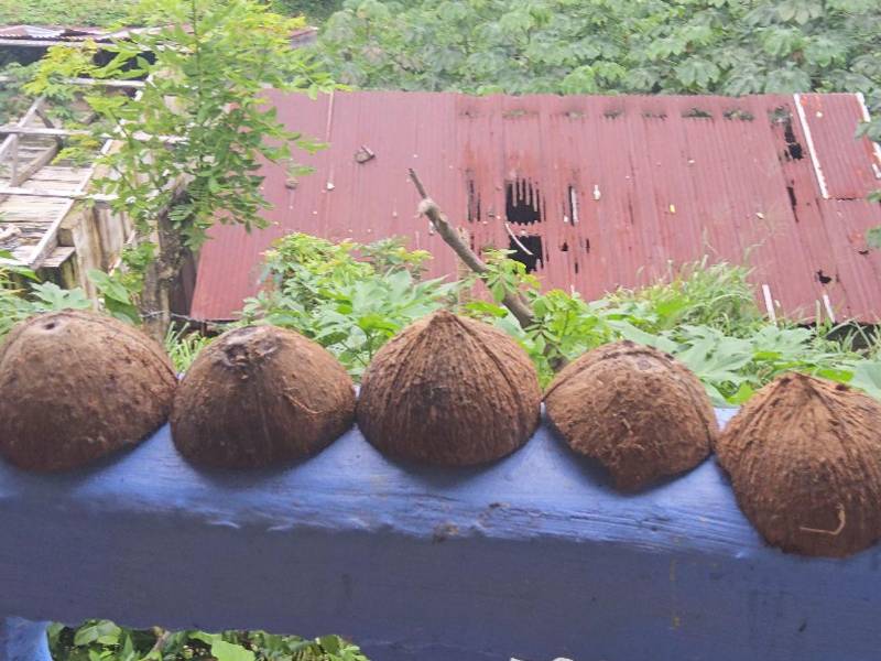 Estas son otras de las creaciones de este hondureño, famoso por elaborar barcos con trozos de madera.