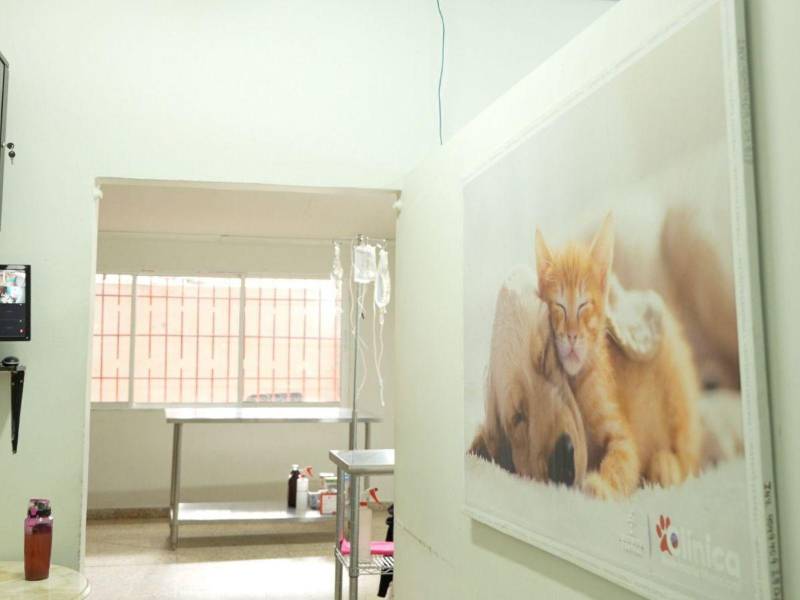 La clínica atiende diariamente a decenas de mascotas en la capital.