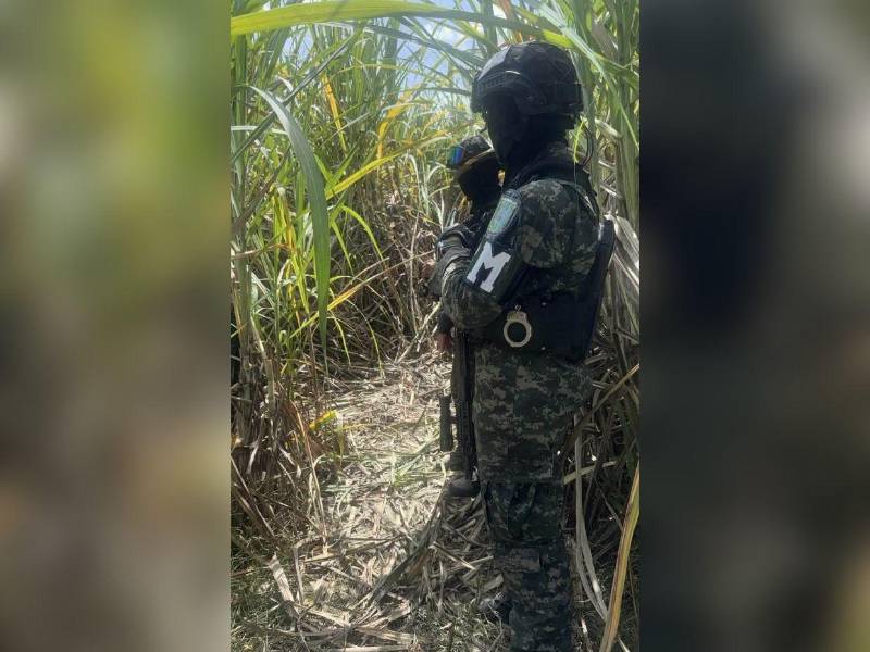 El cuerpo de la joven fue hallado semienterrado en medio de las cañeras.