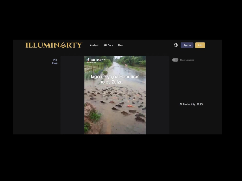 Captura de pantalla al análisis realizado en Illuminarty.ai