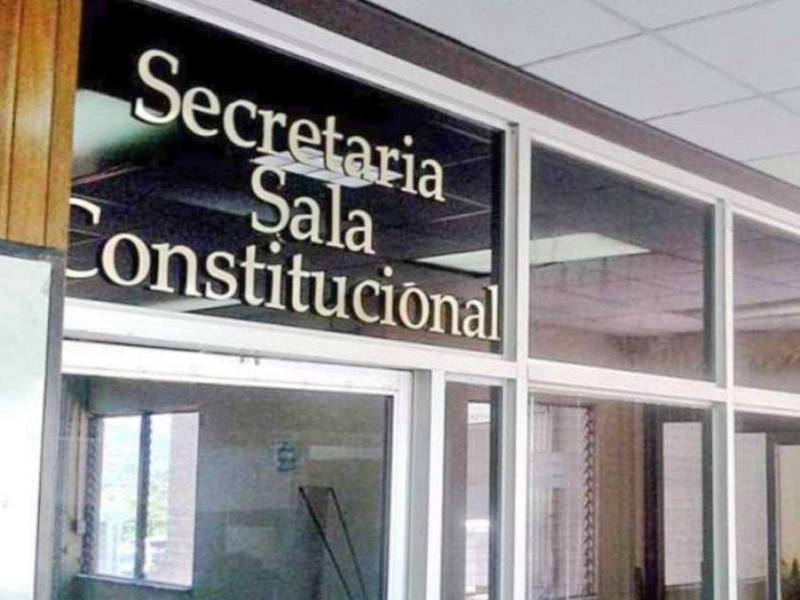 El recurso fue presentado en la Sala Constitucional.