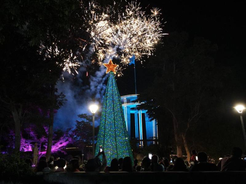 Familias y amigos pueden recorrer las atracciones navideñas de la capital, que incluyen shows de luces, espacios al aire libre y diversión para grandes y pequeños.
