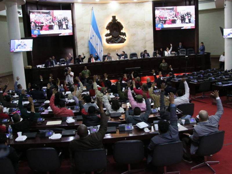 Solo los diputados del Partido Libertad y Refundación (Libre), muchos suplentes, estuvieron en la sesión convocada por Luis Redondo.